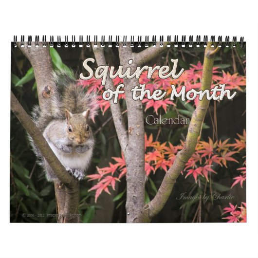 2026 Eekhoorn Fotobehang Kalender (Hoes)