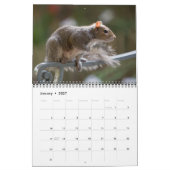 2026 Eekhoorn Fotobehang Kalender (Jan 2027)