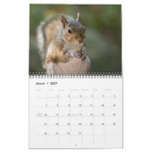 2026 Eekhoorn Fotobehang Kalender (Mar 2027)