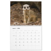 2026 Een jaar met Meerkats Kalender (Mar 2026)
