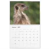 2026 Een jaar met Meerkats Kalender (Feb 2027)