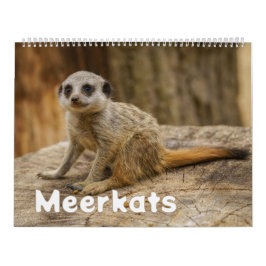 2026 Een jaar met Meerkats Kalender