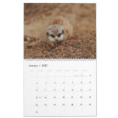 2026 Een jaar met Meerkats Kalender (Jan 2027)