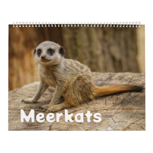 2026 Een jaar met Meerkats Kalender (Hoes)