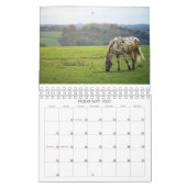 2026 EENVOUDIGE PAARDEN KALENDER (Feb 2027)