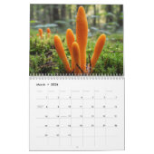 2026 Enchanted Mushroom Photo Kalender (Mar 2026)