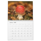 2026 Enchanted Mushroom Photo Kalender (Jan 2027)