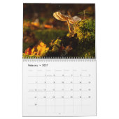 2026 Enchanted Mushroom Photo Kalender (Feb 2027)