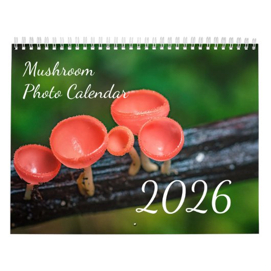 2026 Enchanted Mushroom Photo Kalender (Hoes)