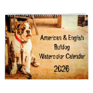 2026 Engelse Bulldog Britse Amerikaanse Bully Cade Kalender