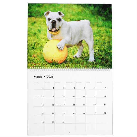 2026 English Bulldog British American Bully Gift Kalender (Mar 2026)