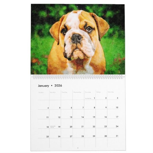 2026 English Bulldog British American Bully Gift Kalender (Jan 2026)