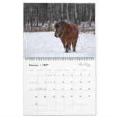 2026 Equine Calendar Kalender (Feb 2027)