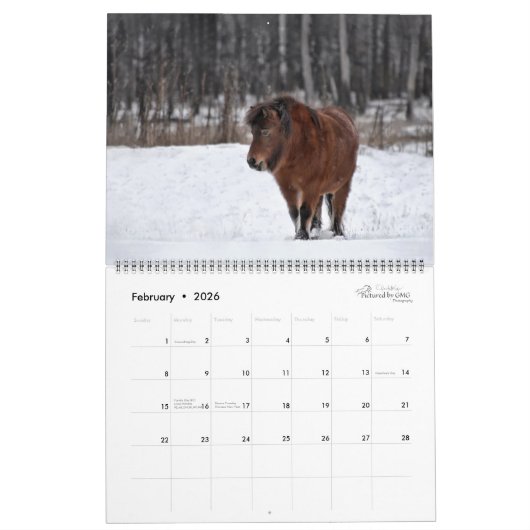 2026 Equine Calendar Kalender (Feb 2026)