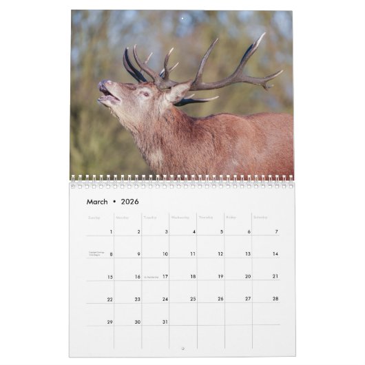 2026 fascinerende rode herten kalender (Mar 2026)