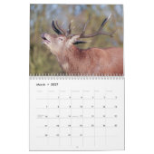 2026 fascinerende rode herten kalender (Mar 2027)