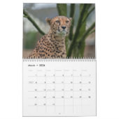 2026 Fast and the Beautiful: Cheetah Collectie Kalender (Mar 2026)