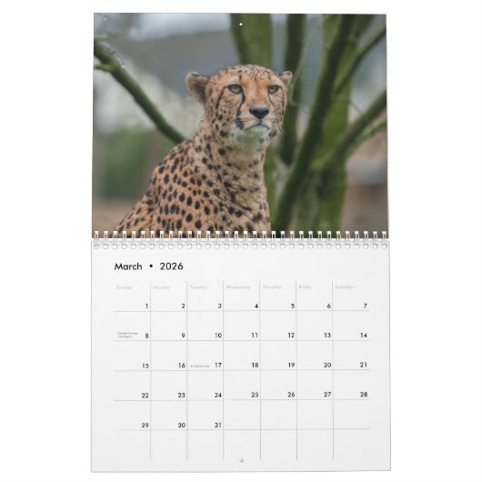2026 Fast and the Beautiful: Cheetah Collectie Kalender (Mar 2026)
