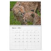 2026 Fast and the Beautiful: Cheetah Collectie Kalender (Feb 2026)