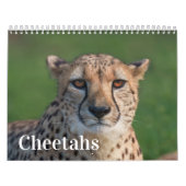 2026 Fast and the Beautiful: Cheetah Collectie Kalender (Hoes)