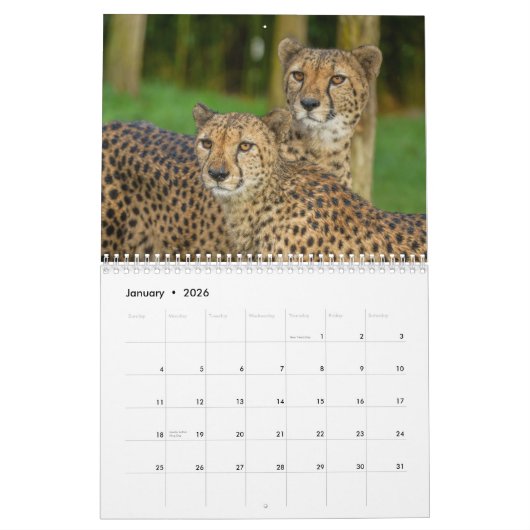 2026 Fast and the Beautiful: Cheetah Collectie Kalender (Jan 2026)