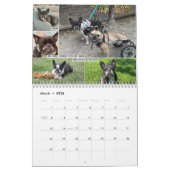 2026 FBRN French Bulldog Rescue Network Calendar Kalender (Mar 2026)