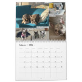 2026 FBRN French Bulldog Rescue Network Calendar Kalender (Feb 2026)