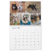 2026 FBRN French Bulldog Rescue Network Calendar Kalender (Jan 2027)