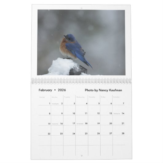 2026 Franklin Pierce Lake Kalender (Feb 2026)