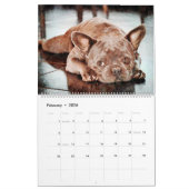 2026 Franse Bulldog Hond Mama Frenchie Liefhebbers Kalender (Feb 2026)