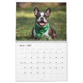 2026 Franse Bulldog Kalender | 12 Maanden (Mar 2027)