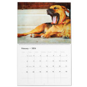 2026 Funny Lazy Sleepy Dog Puppy Antianxiety Gift Kalender (Feb 2026)