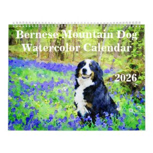 2026 Geschenk voor eigenaren van Bernese Mountain Kalender