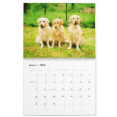 2026 Golden Retriever Dogs Golden Owner gift Kalender (Mar 2026)