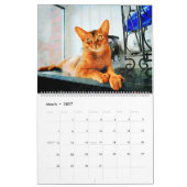 2026 Gorgeous Abyssinian Cat Lovers Gift Kalender (Mar 2027)