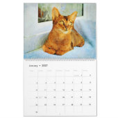 2026 Gorgeous Abyssinian Cat Lovers Gift Kalender (Jan 2027)