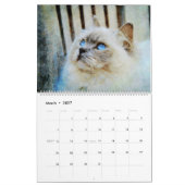 2026 Gorgeous Rag Doll Cat Mam Lover Owner Gift Kalender (Mar 2027)