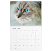 2026 Gorgeous Rag Doll Cat Mam Lover Owner Gift Kalender (Jan 2027)
