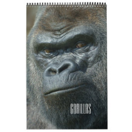 2026 Gorilla Kalender