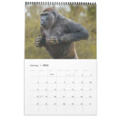 2026 Gorilla Kalender (Jan 2026)