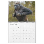2026 Gorilla Kalender (Jan 2027)
