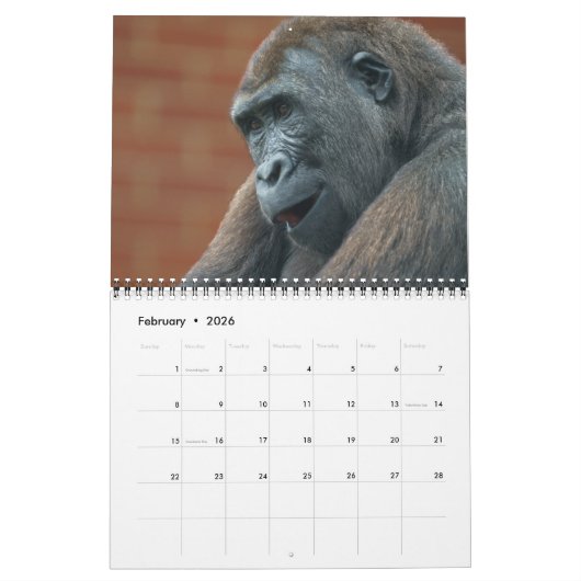 2026 Gorilla Kalender (Feb 2026)