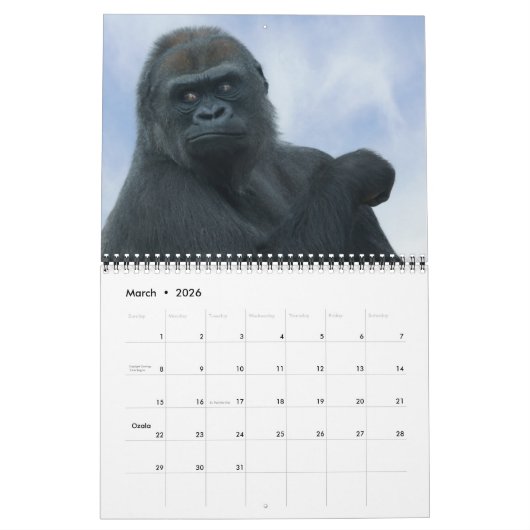 2026 Gorilla Kalender (Mar 2026)