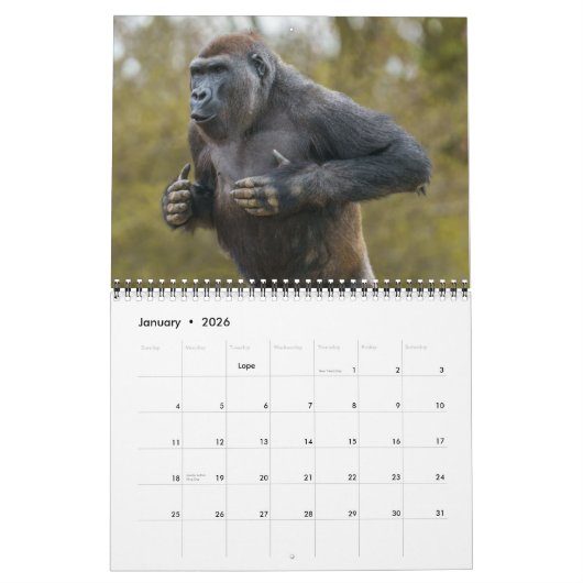 2026 Gorilla Kalender (Jan 2026)
