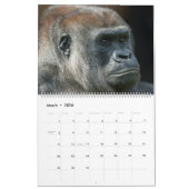 2026 Gorilla Kalender (Mar 2026)