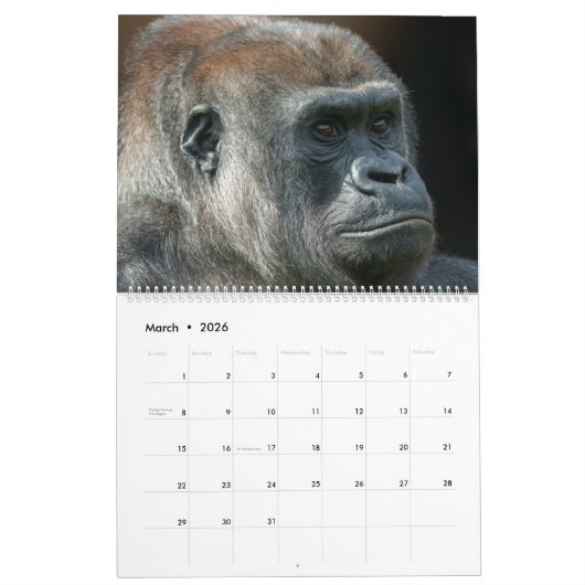 2026 Gorilla Kalender (Mar 2026)