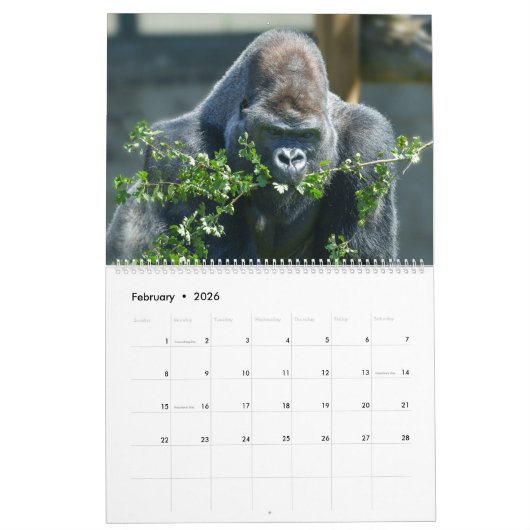 2026 Gorilla Kalender (Feb 2026)