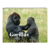 2026 Gorilla Kalender (Hoes)