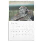 2026 Gorilla Kalender (Feb 2027)