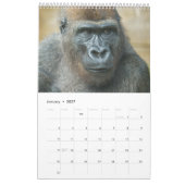 2026 Gorilla Kalender (Jan 2027)